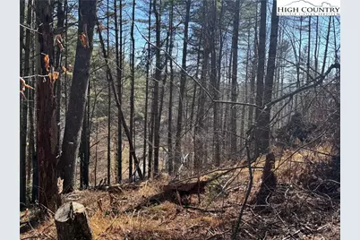 Lot 16 Woodlands Drive, Piney Creek, NC 28663 - Photo 3