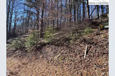 Lot 16 Woodlands Drive, Piney Creek, NC 28663 - Photo 11