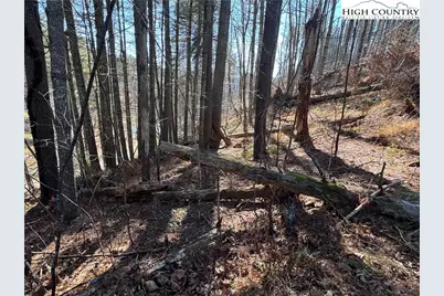 Lot 16 Woodlands Drive, Piney Creek, NC 28663 - Photo 5