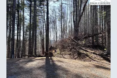 Lot 16 Woodlands Drive, Piney Creek, NC 28663 - Photo 9