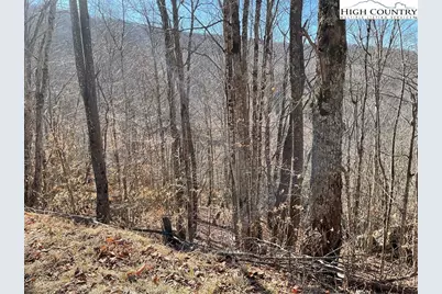 104 Wintercrest Lane, Beech Mountain, NC 28604 - Photo 7