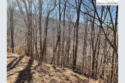 104 Wintercrest Lane, Beech Mountain, NC 28604 - Photo 5