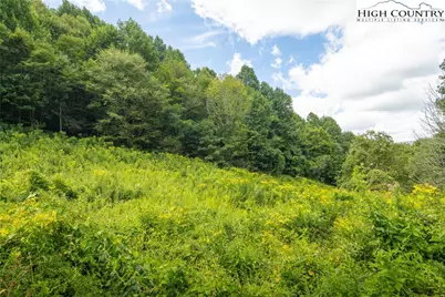 Tbd Georges Gap Road, Vilas, NC 28692 - Photo 11