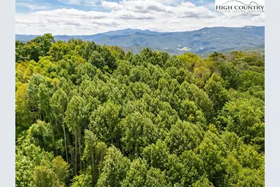 Tbd Georges Gap Road, Vilas, NC 28692 - Photo 37