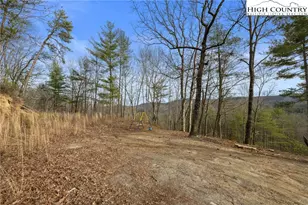 482 Bear Run Rd, Lenoir, NC 28624 - Photo 29