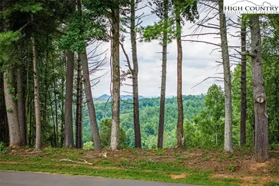 2070 Thoroughbred Way, Lenoir, NC 28645 - Photo 3