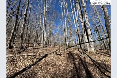 82 +/- Acres Double Head Mountain Road, Newland, NC 28657 - Photo 3