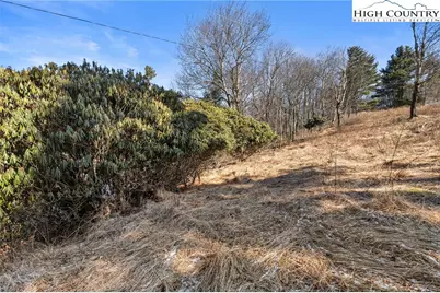 Tbd Parkway Forest Drive, Blowing Rock, NC 28605 - Photo 17