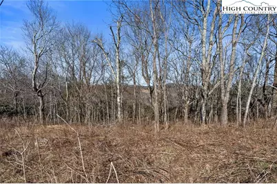 Tbd Parkway Forest Drive, Blowing Rock, NC 28605 - Photo 11