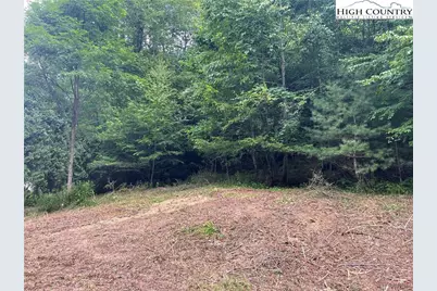 Tbd Forest Ridge, Fleetwood, NC 28682 - Photo 3