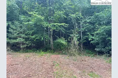 Tbd Forest Ridge, Fleetwood, NC 28682 - Photo 5