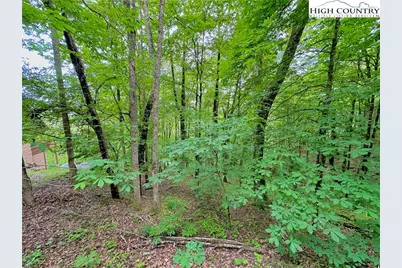 Tbd Alpine Drive, Seven Devils, NC 28604 - Photo 15