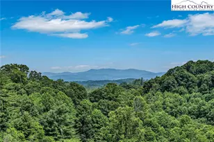 12443 Old Hwy 16, Grassy Creek, NC 28631 - Photo 3