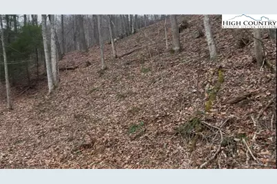 Tbd Martinez Road, Crumpler, NC 28617 - Photo 3