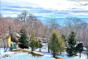 3441 S Beech Mountain Pkwy, Beech Mountain, NC 28604 - Photo 25