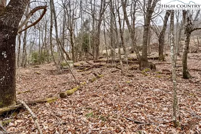 Lot 33 Wapiti Way, Blowing Rock, NC 28605 - Photo 11