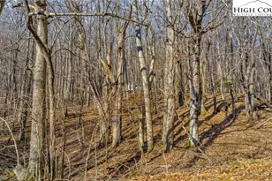 Tbd- 23 Locust Circle, West Jefferson, NC 28694 - Photo 1