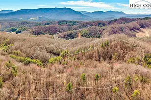 3186 & 3190 Silas Creek Rd, Lansing, NC 28643 - Photo 3