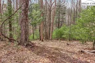 3186 & 3190 Silas Creek Rd, Lansing, NC 28643 - Photo 45