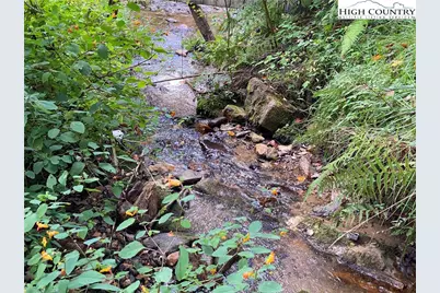 79 & 111 Hensley Branch Road, Burnsville, NC 28714 - Photo 17