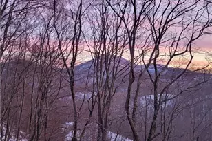 217 Rainbow Ridge Rd, Zionville, NC 28698 - Photo 39