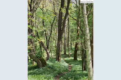 217 Rainbow Ridge Road, Zionville, NC 28698 - Photo 41