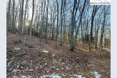 Tbd Linwood Lane, Newland, NC 28657 - Photo 3