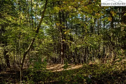 Tbd Railroad Grade Road, Fleetwood, NC 28626 - Photo 3