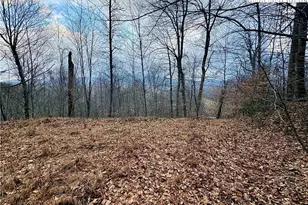 Lot 27 Wren Cove Ln, Vilas, NC 28692 - Photo 1