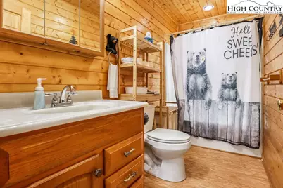 4271 Old Field Creek Road, Grassy Creek, NC 28631 - Photo 19