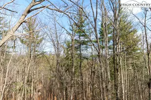 994 E Laurel Circle, Deep Gap, NC 28618 - Photo 25