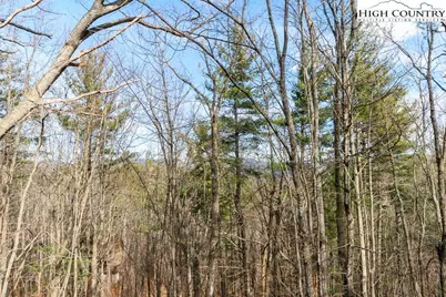 994 E Laurel Circle, Deep Gap, NC 28618 - Photo 45