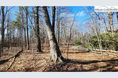 Tbd Chinquapin Springs, Newland, NC 28657 - Photo 3