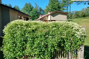 1324 Ripshin Rd, Troutdale, VA 24378 - Photo 47