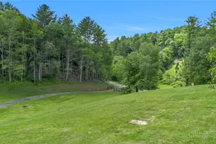 1324 Ripshin Rd, Troutdale, VA 24378 - Photo 39