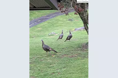 1324 Ripshin Road, Troutdale, VA 24378 - Photo 45