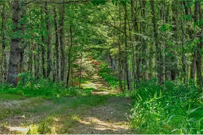 1324 Ripshin Road, Troutdale, VA 24378 - Photo 49
