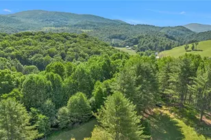 1324 Ripshin Rd, Troutdale, VA 24378 - Photo 47