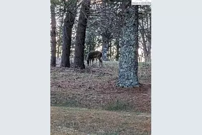 1324 Ripshin Road, Troutdale, VA 24378 - Photo 43