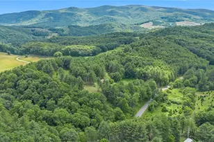 1324 Ripshin Rd, Troutdale, VA 24378 - Photo 43