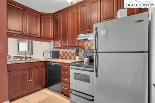 301 Pinnacle Inn Rd, Beech Mountain, NC 28604 - Photo 9