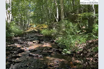 321 Skin Camp Creek Road, Todd, NC 28684 - Photo 25