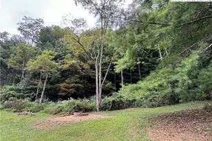 321 Skin Camp Creek Rd, Todd, NC 28684 - Photo 19