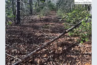 Tbd Liberty Court Drive, West Jefferson, NC 28694 - Photo 3