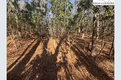 Tbd Seventy Sixth Drive, West Jefferson, NC 28694 - Photo 3