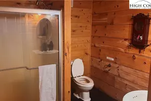 1694 Humpback Mountain Rd, Spruce Pine, NC 28777 - Photo 5