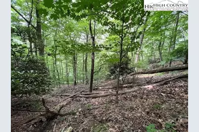 Tbd Locust Point Drive, Boone, NC 28607 - Photo 7