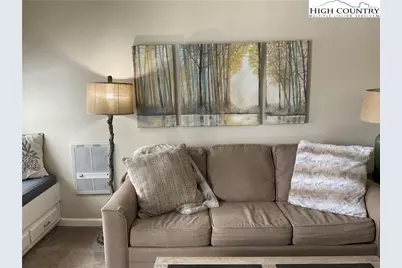 301 Pinnacle Inn Road #4114, Beech Mountain, NC 28604 - Photo 9