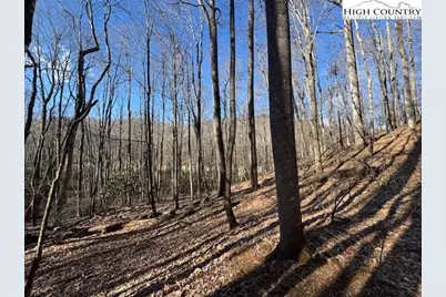 Tbd Bald Mountain Road, West Jefferson, NC 28694 - Photo 9