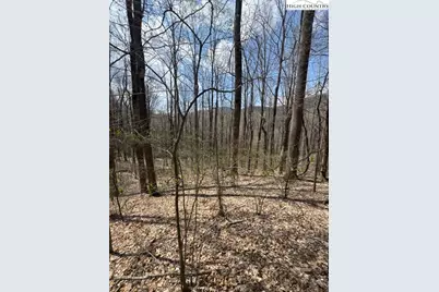 Tbd Bald Mountain Road, West Jefferson, NC 28694 - Photo 11